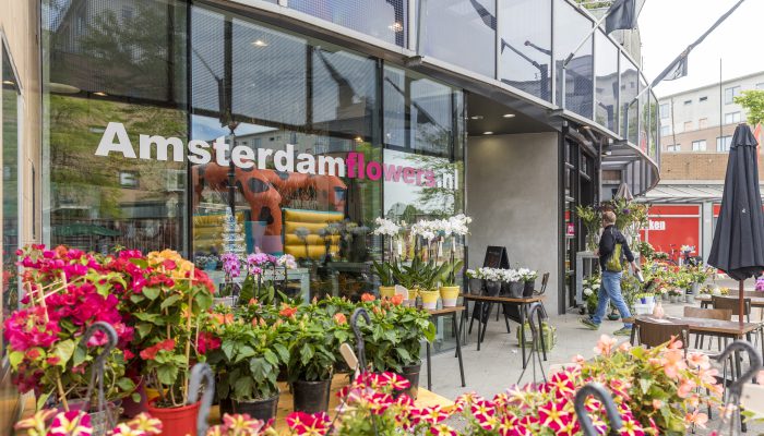 Amsterdam Flowers